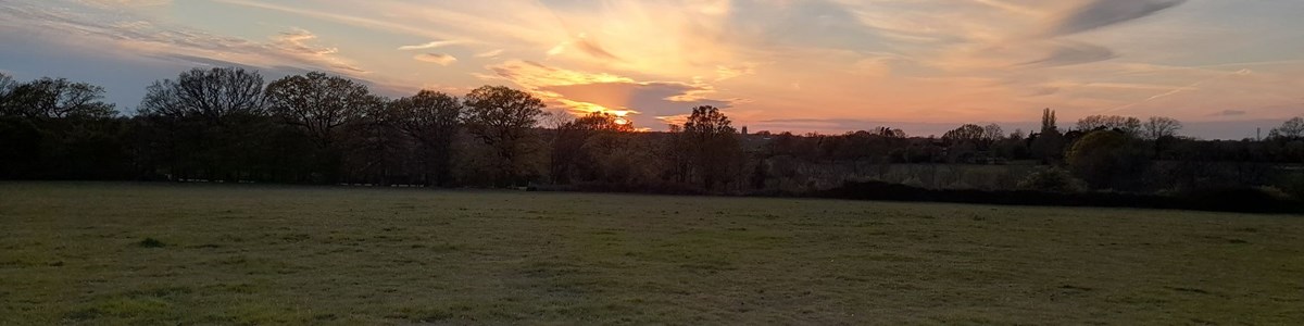 Setts Wood Farm, Tenterden
