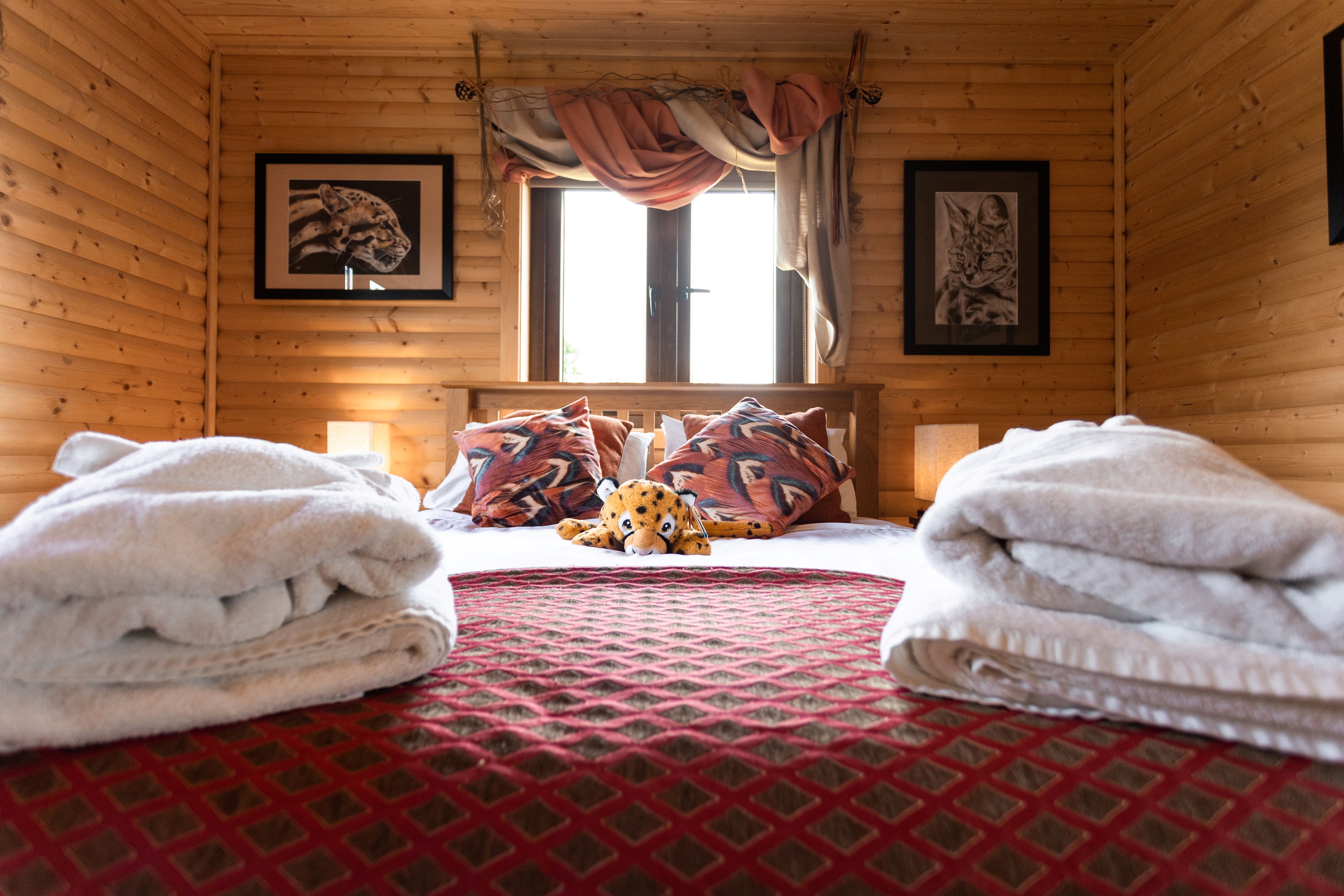 Cheetah Lodge (Feb2024) RESIZED