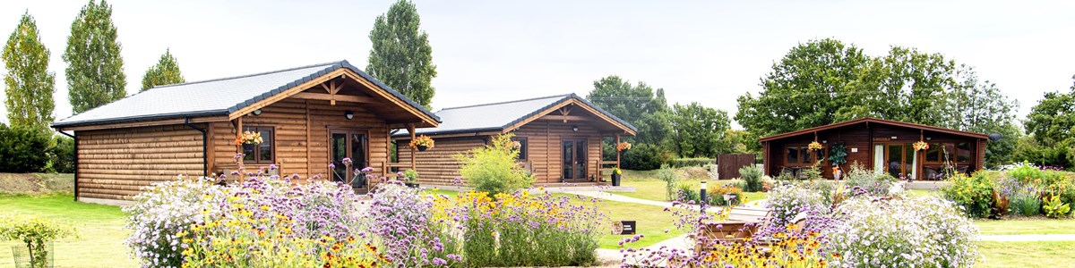 Big Cat Lodges (Oct2020)