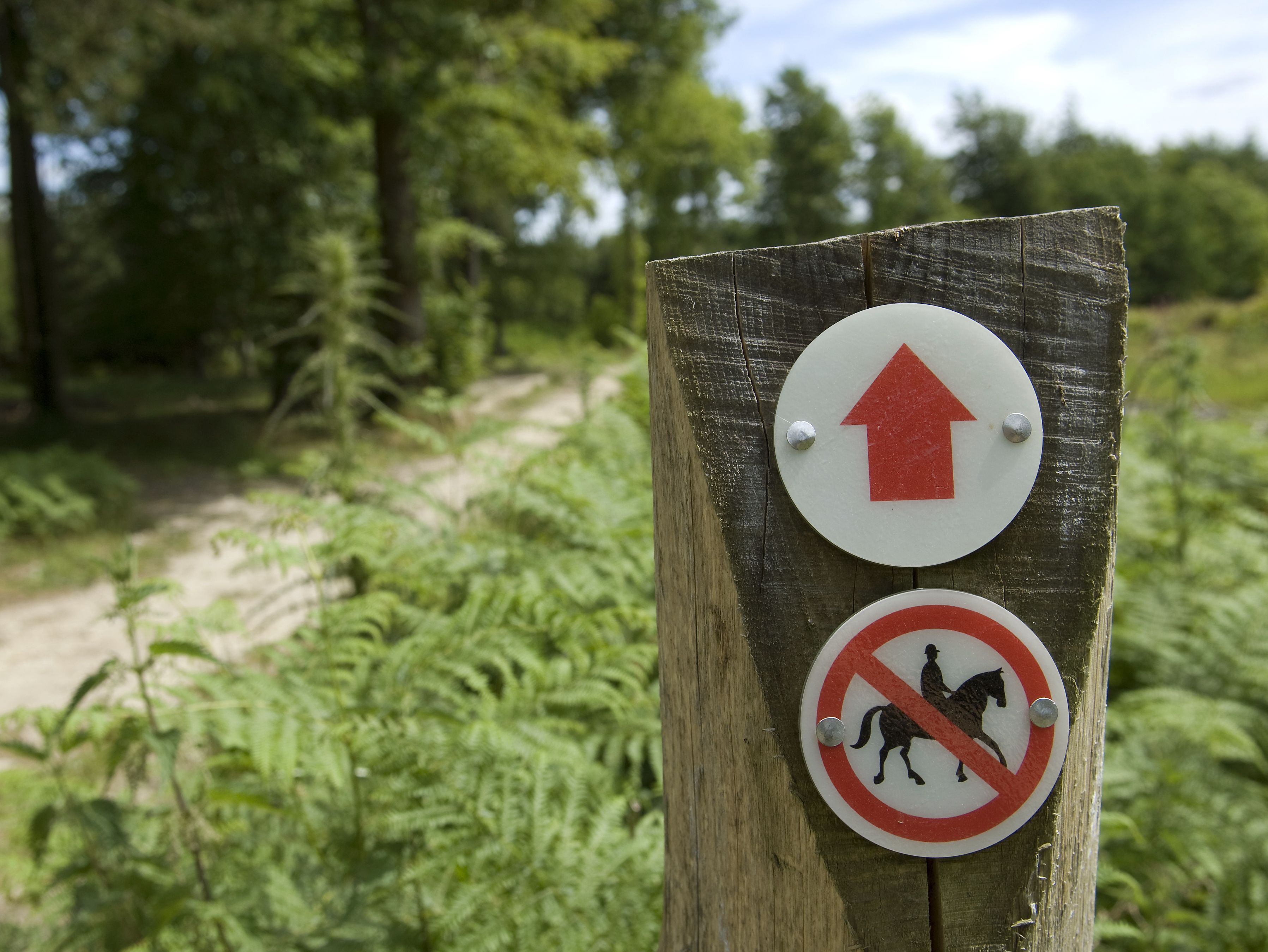 Countryside signs generic abc image.jpg
