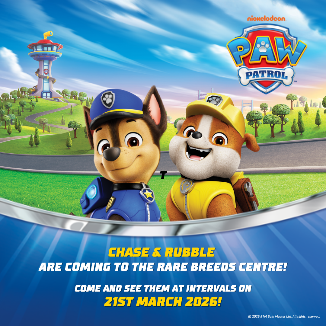 a5ad3316-c371-4b19-b161-1cb7cbe2971b-Untitled design (14).png