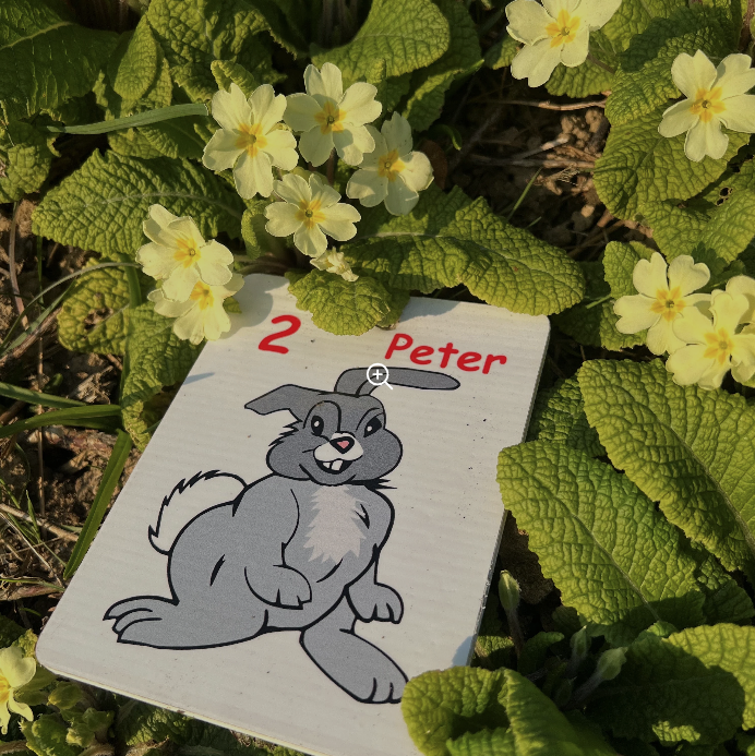 Screenshot 2026 02 23 092757