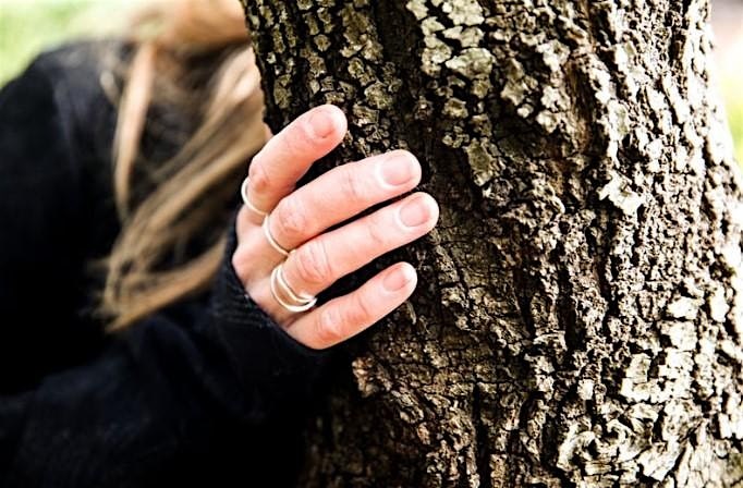 1abf336f-6661-4126-a1ec-3273b8803c6c-Touching bark_TWT.jpg