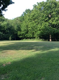 The Firs Fishery 2019 (C).JPG