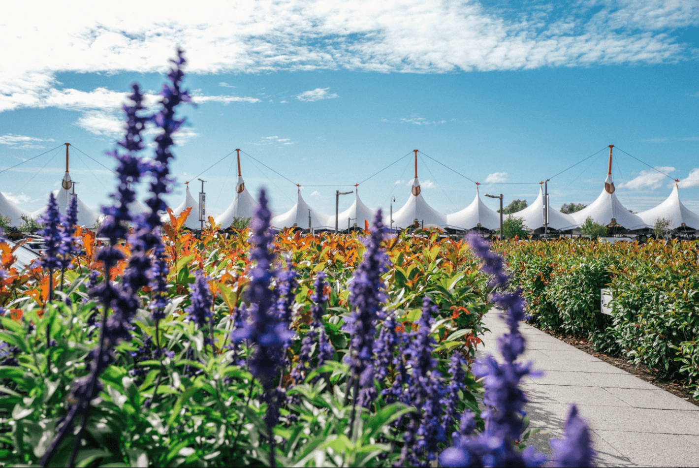 Ashford Designer Outlet April 2019(c).png