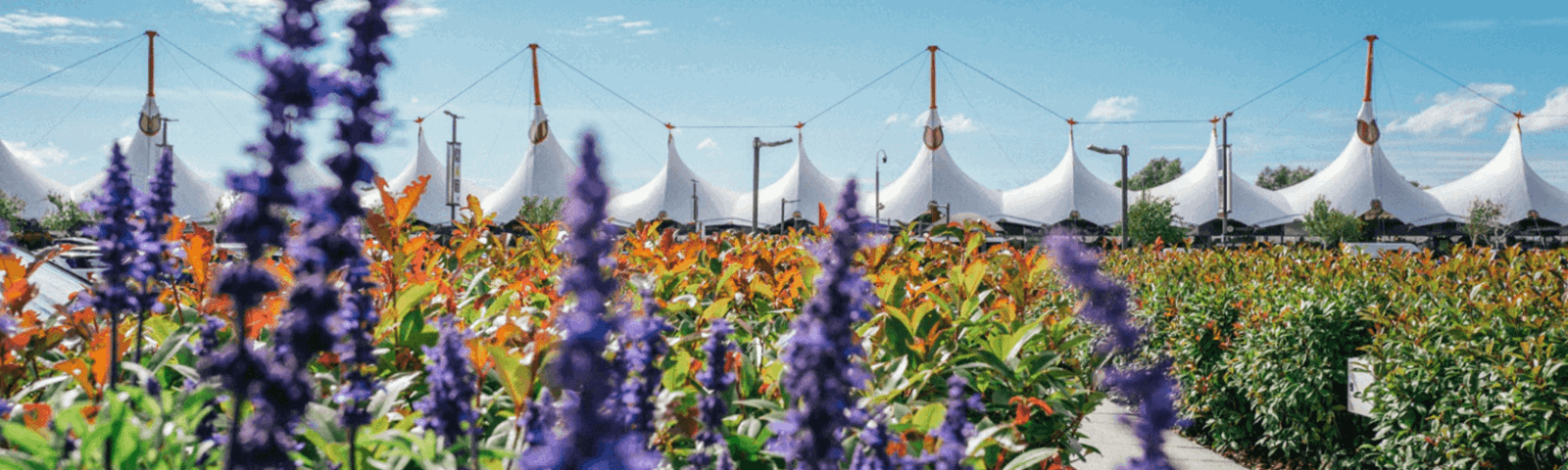 Ashford Designer Outlet April 2019(c).png