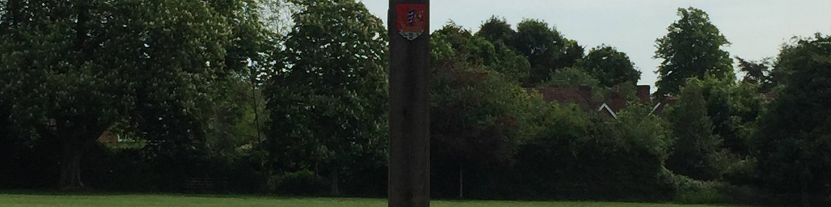 Tenterden Rec Ground May19 (AH).jpg