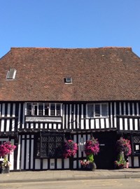 Lem Tree Photo Aug19 (C)