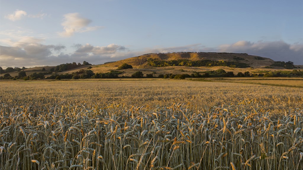 Wheatfields Glamping1