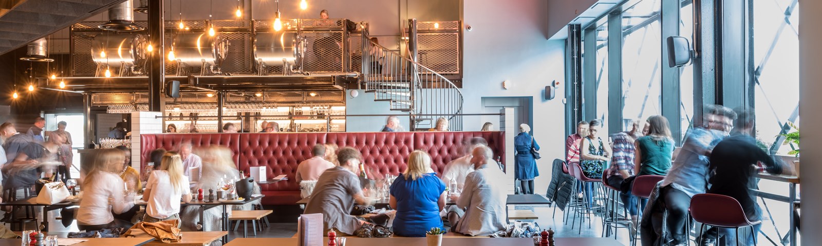 Curious Gendek June19 .(C)