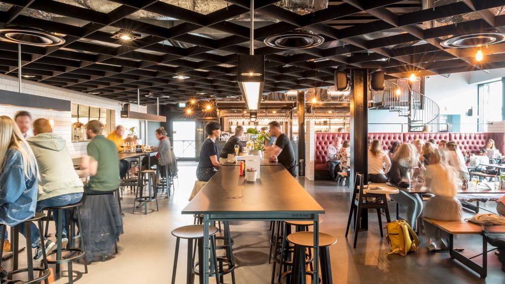 Curious Gendek 190525 Lr 16 Of 37