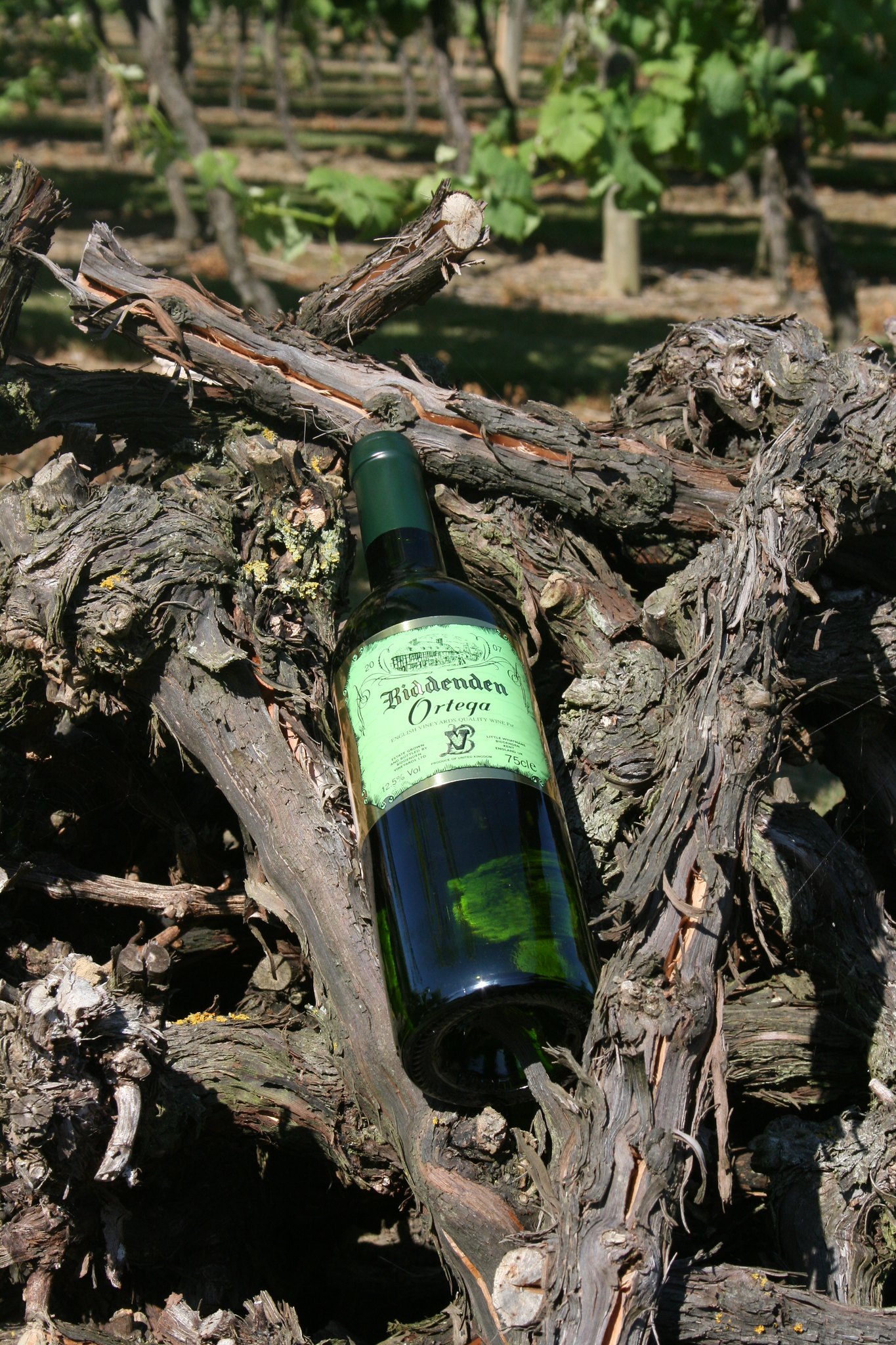 Biddenden Vineyards (Credit Visit Kent)