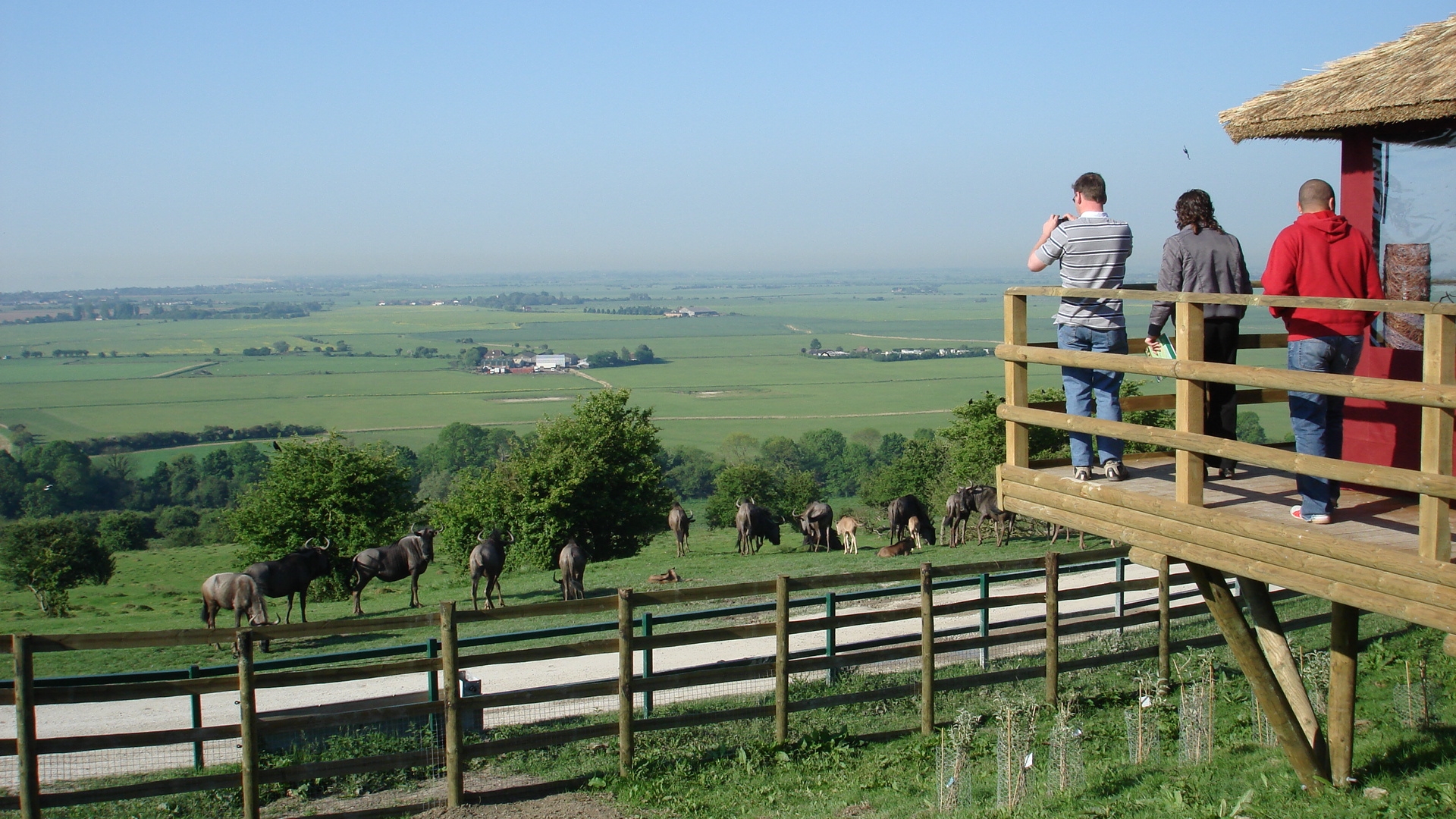Port Lympne Safari View (Credit Visit Kent)