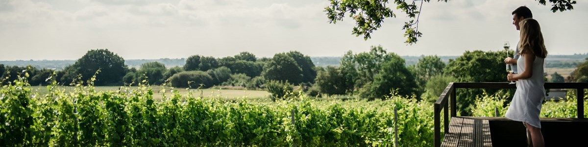 Gusbourne Lunch 05(C)