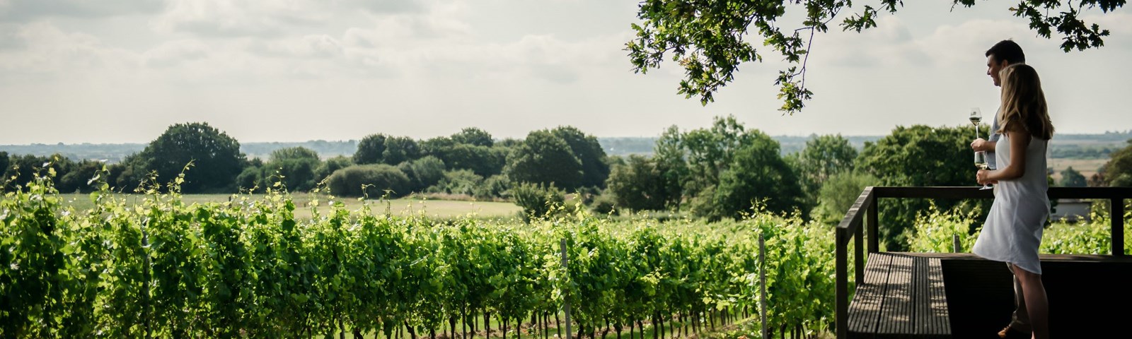 Gusbourne Lunch 05(C)