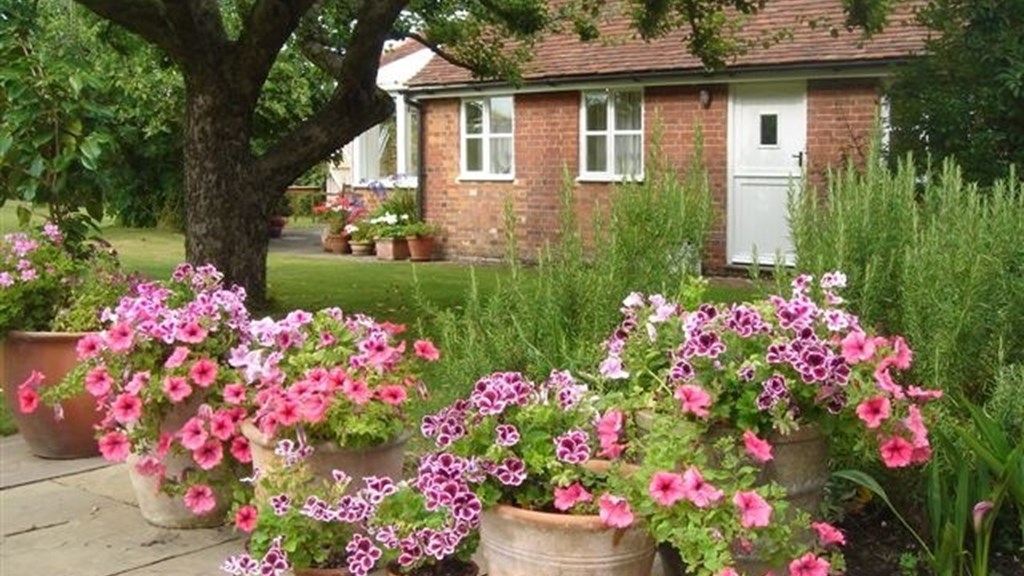 the-little-house-coveneys-rolvenden---miscellaneous-08-033.jpg
