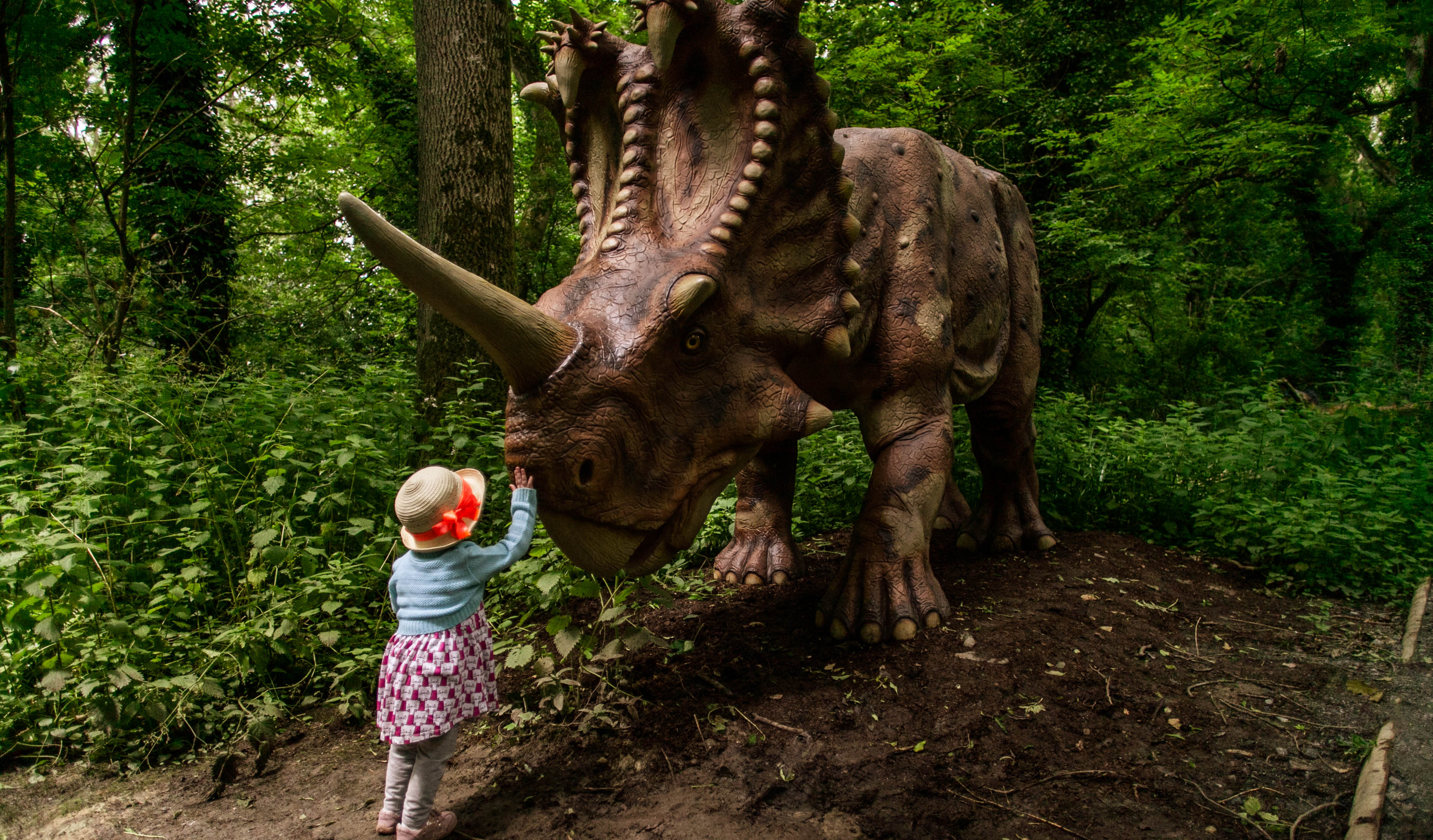 PORT LYMPNE RESERVE 4