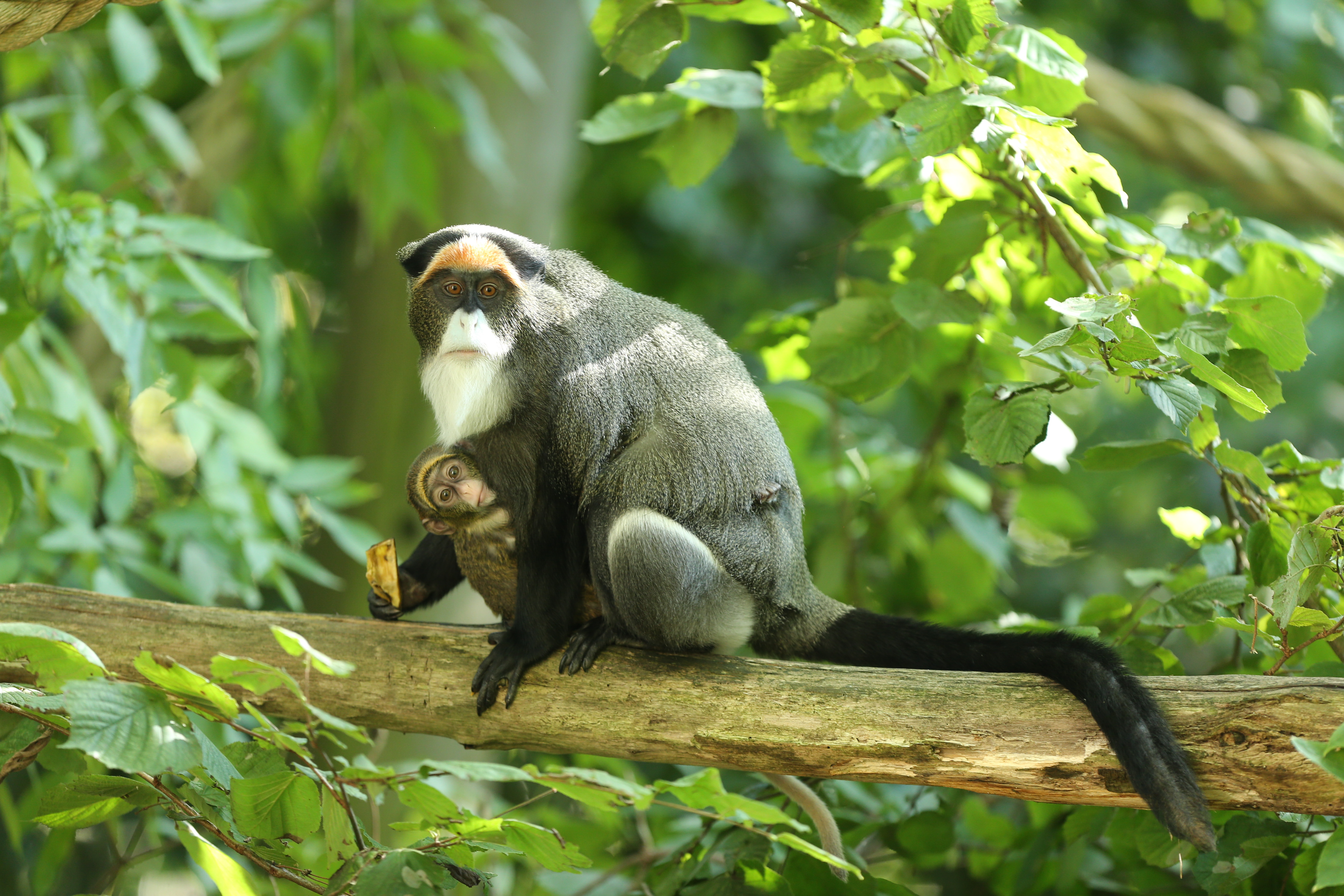 PORT LYMPNE RESERVE 5