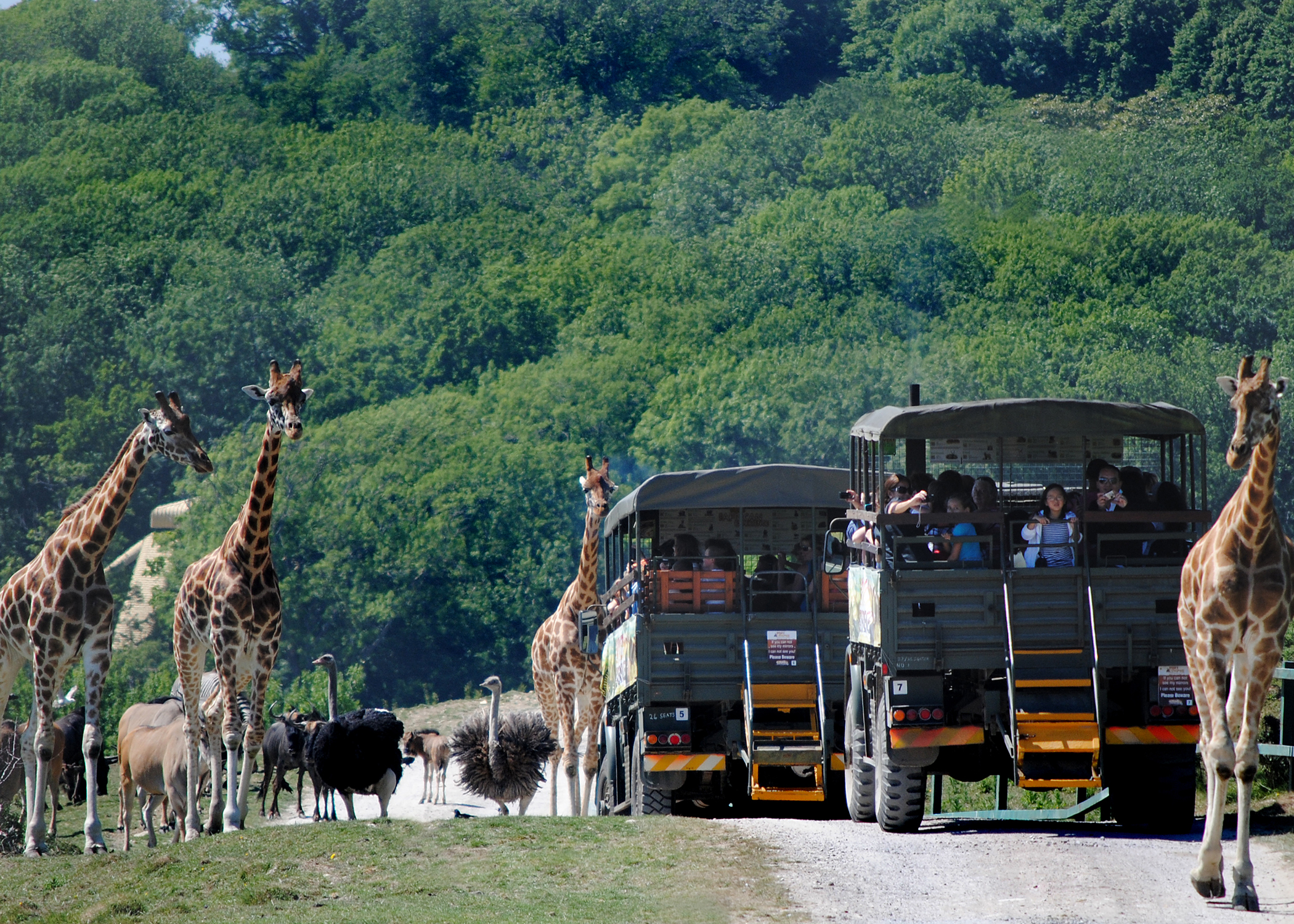 PORT LYMPNE RESERVE HEADER