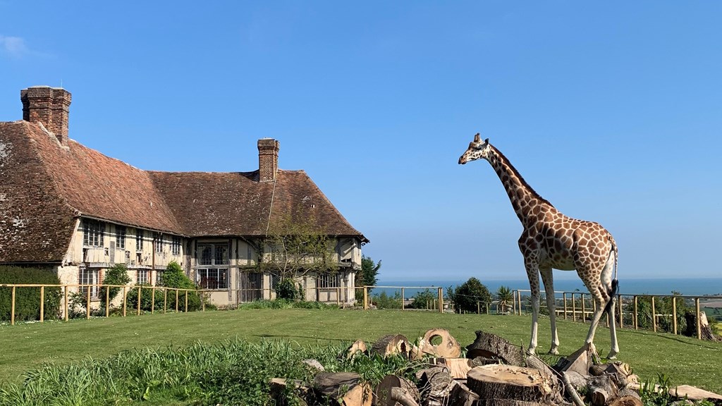 Lehana, Giraffe Hall Port Lympne Hotel May2019 (C)