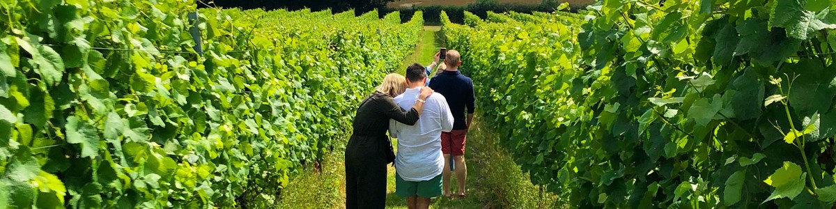 Wine Tours Of Kent Woodchurch Group Shot (June2021)