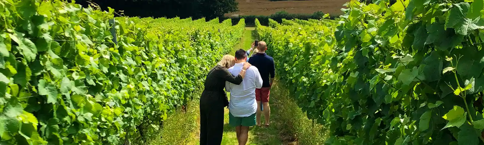 Wine Tours Of Kent Woodchurch Group Shot (June2021)