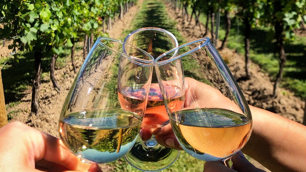 Wine Tours Of Kent. Wine In Vineyard (June2021)