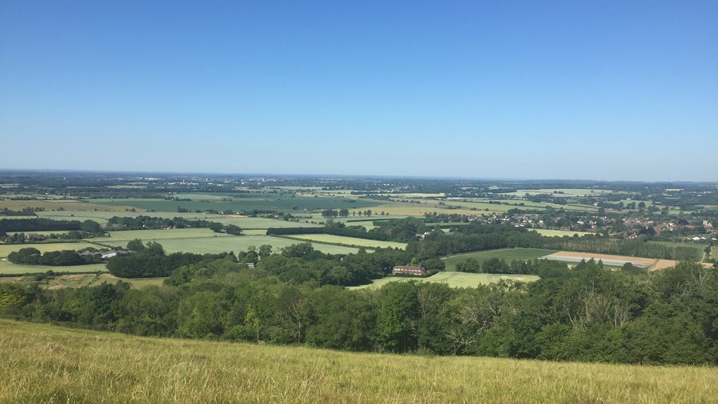 View From Wye Crown June2020 (AH)