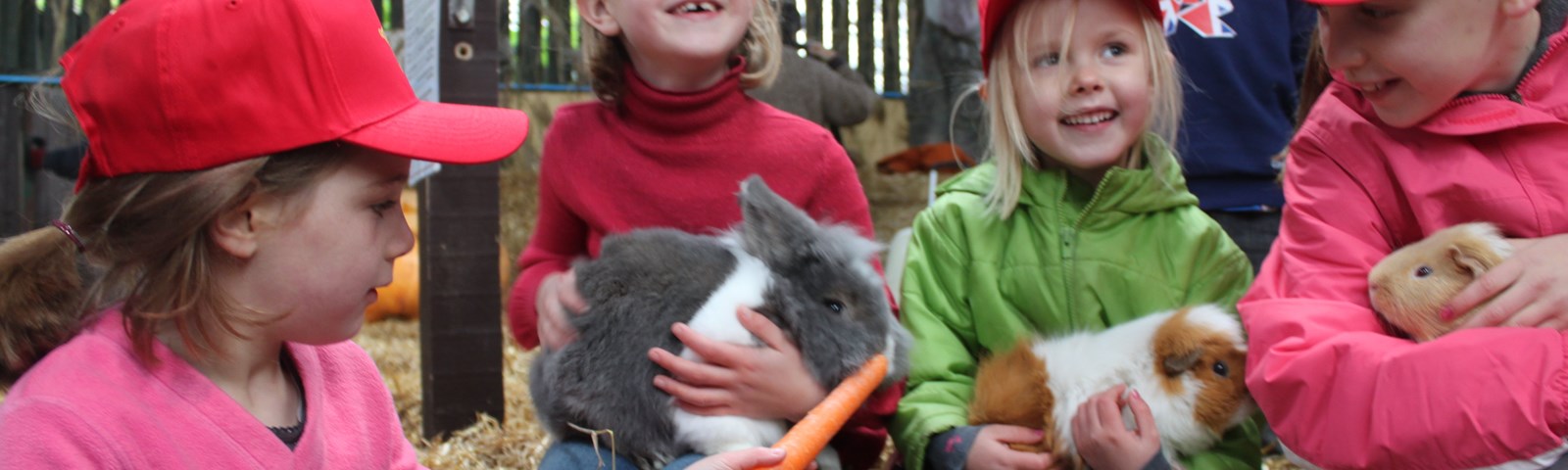 Rare Breeds vis guide 2016.jpg