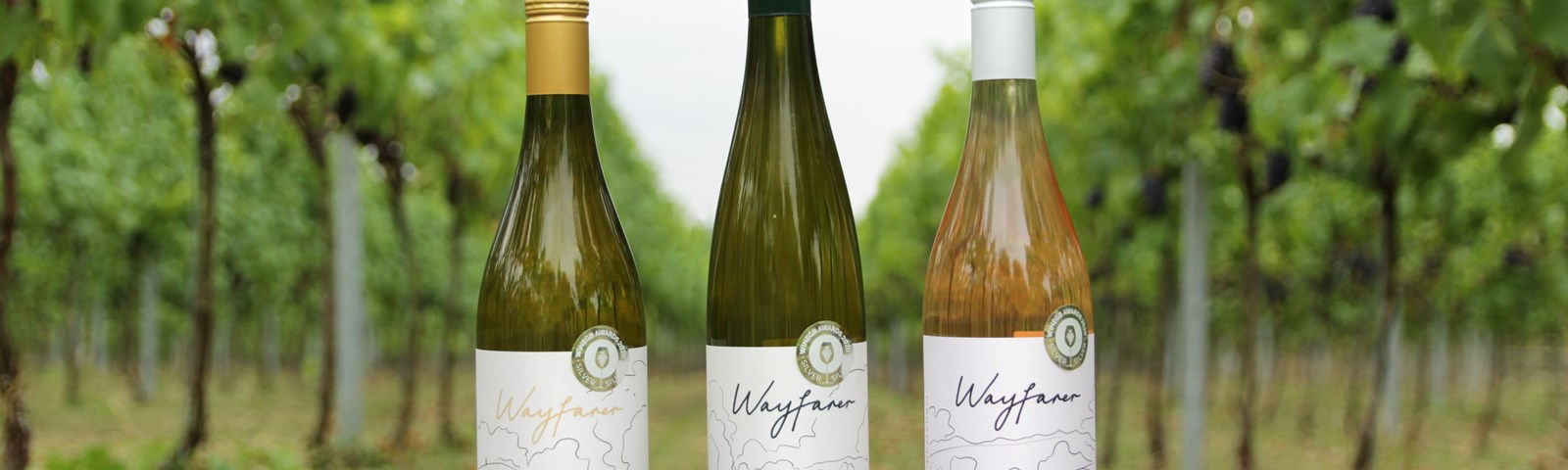 Wayfarer Wines 4 (Jan2022)