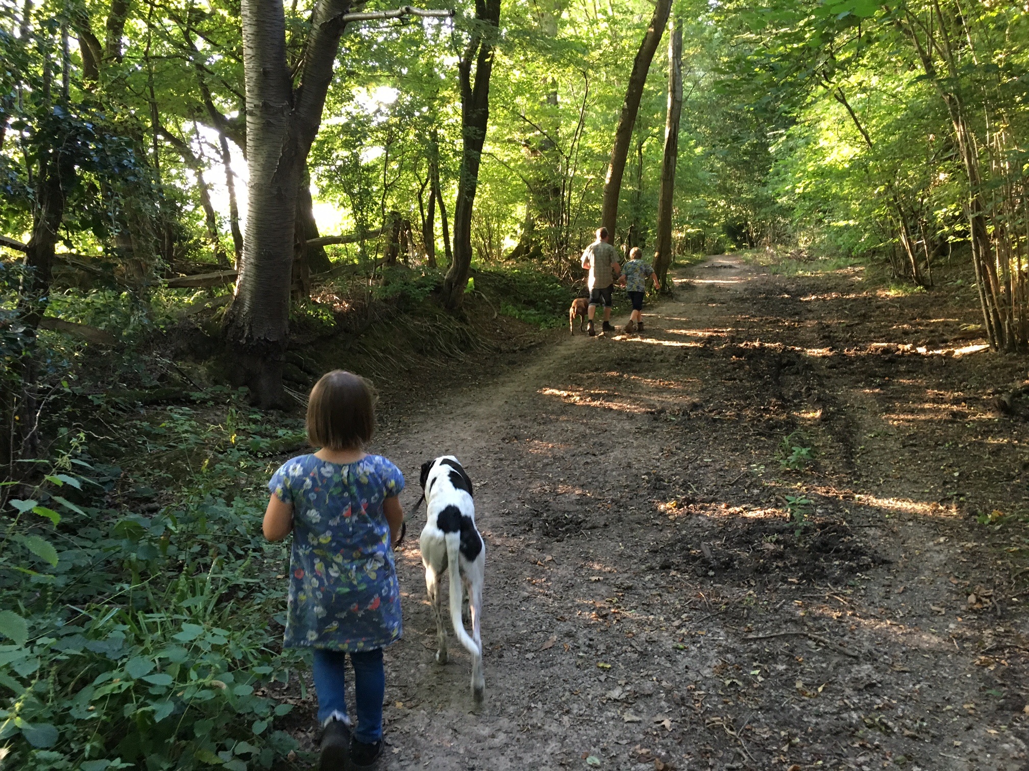 AH.walking the dogs.jpg