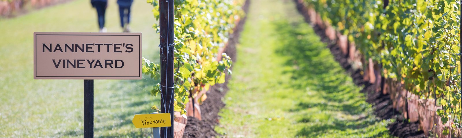 Balfour Spring Nature Tour (Feb2022)