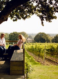 Kristen in vineyard small.jpg