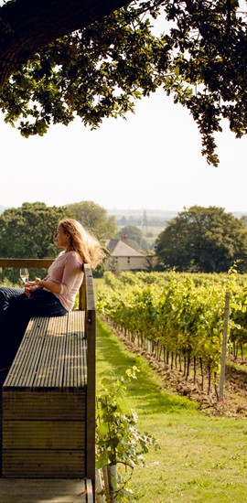 Kristen in vineyard small.jpg