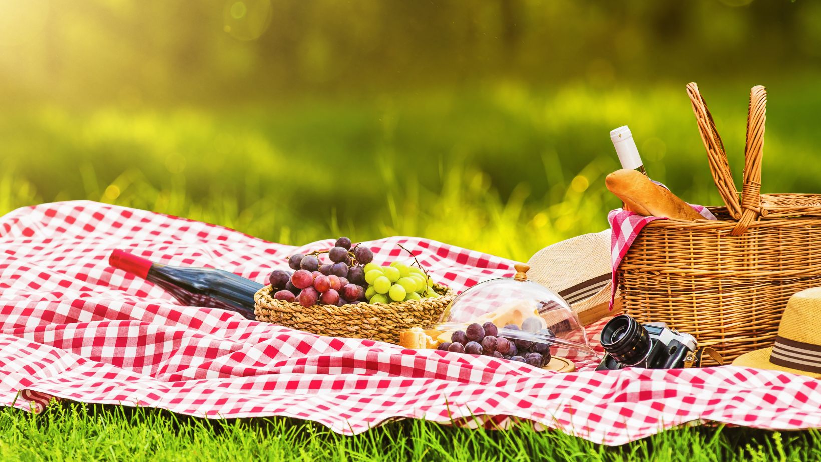 Picnic Banner