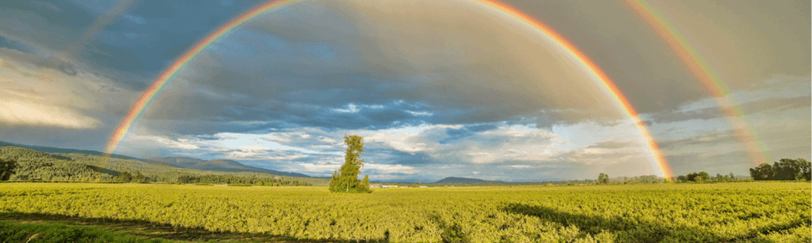 Rainbow (Canva) (1)